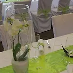 Sole Felsen Welt Hotel Gmund (Lower Austria)